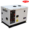 Home Use Silent Type Diesel Generator (BU30KS)